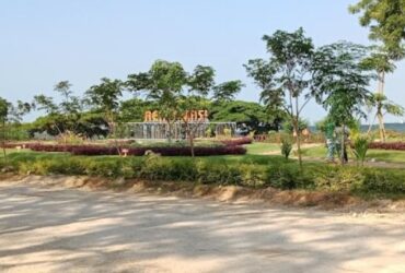 Merasakan Sensasi Liburan Berbeda di Taman Bukit Daun Tuban: Perpaduan Alam Asri, Sejarah, dan Edukasi Lingkungan