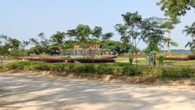 Merasakan Sensasi Liburan Berbeda di Taman Bukit Daun Tuban: Perpaduan Alam Asri, Sejarah, dan Edukasi Lingkungan