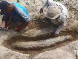 HEBOH! Fosil Gading Gajah Purba Ditemukan di Sungai Bengawan Solo Cepu Blora
