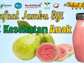 Manfaat Jambu Biji untuk Kesehatan Anak, 5 Kelebihan yang Perlu Anda Ketahui