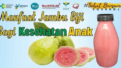 Manfaat Jambu Biji untuk Kesehatan Anak, 5 Kelebihan yang Perlu Anda Ketahui