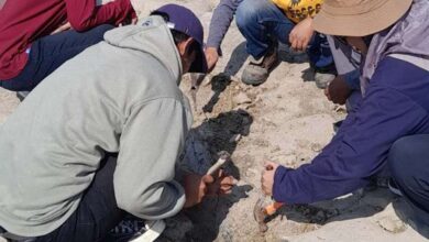 Niat Mau Cari Ikan Warga Blora Justru Temukan Harta Karun Ini di Sungai Bengawan Solo Cepu