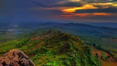 Pesona Bukit Pencu Destinasi Wisata Alam di Blora Paling Ngehits dengan Sejuta View Menarik