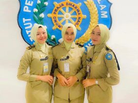 Resmi Dibuka Ini Link Resmi Pendaftaran Seleksi CPNS 2024 Sekolah Kedinasan Lulus Dijamin Auto Jadi PNS