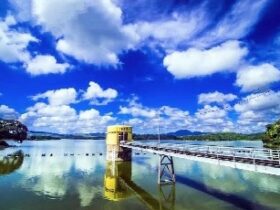Jelajahi Keindahan Alam Bojonegoro, 6 Destinasi Menakjubkan untuk Liburan Akhir Pekan Makin Asik