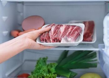 7 Tips Menyimpan Daging Qurban di Freezer Agar Awet dan Tetap Segar Nomor 5 Pasti Banyak yang Melewatkan