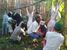 Rayakan Idul Adha Ponpes Al-Ittihad Tambakromo Cepu Ajak Santri Makan Sate