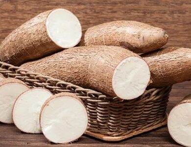 Mengenal Jenis-Jenis Singkong dan Penggunaannya