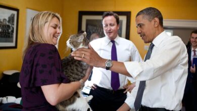 Larry Berstatus PNS Pusat dan Memegang Jabatan Khusus di Kantor Perdana Menteri Inggris