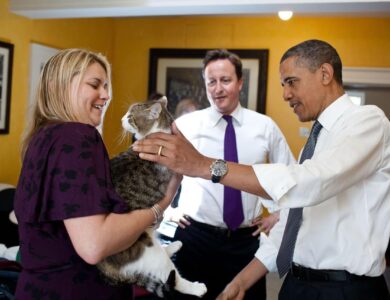 Larry Berstatus PNS Pusat dan Memegang Jabatan Khusus di Kantor Perdana Menteri Inggris