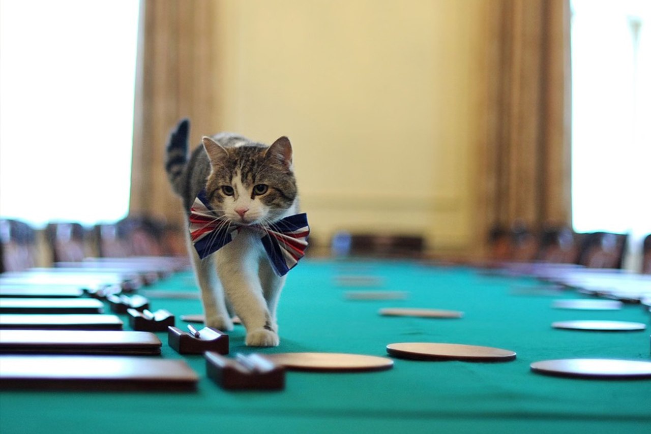 Larry Kucing Yang Memiliki Jabatan Khusus di Kantor Perdana Menteri Inggris