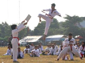 58 Atlet Taekwondo Blora Borong Medali di Kejurnas UGM Taekwondo Championship 2024 Cek Apakah Namamu Termasuk