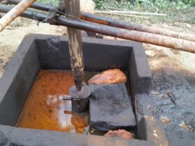 Desa Ledok Blora : Aliran Emas hitam Mengalir di Hutan Jati Blora