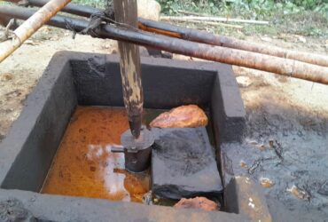 Desa Ledok Blora : Aliran Emas hitam Mengalir di Hutan Jati Blora