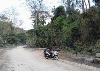Harta Karun di Balik Hutan Jati Minyak Bumi dan Kisah Inspratif Desa Ledok, Blora