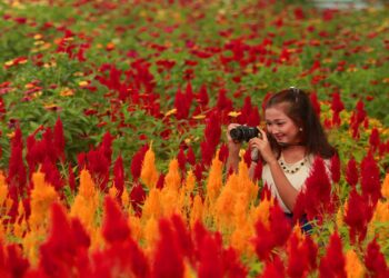 Agrowisata Kebun Buah Greneng Destinasi Wisata di Blora Ala Negeri Belanda dengan Floranya yang Ikonik