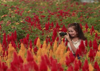 Bak di Negeri Eropa 10 Tempat Wisata Terbaik di Blora yang Cocok Dikunjungi di Musim Panas