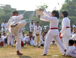 Fantastis 58 Atlet Blora Borong Medali Taekwondo Grade C di GOR Pancasila UGM Ini Daftar Nama-namanya
