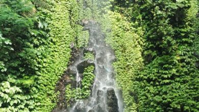 Air Terjun Suwono Ngawi, Keindahan Gemercik Air yang Segar