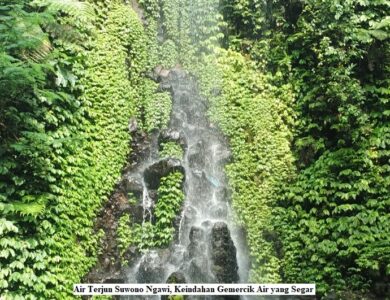 Air Terjun Suwono Ngawi, Keindahan Gemercik Air yang Segar