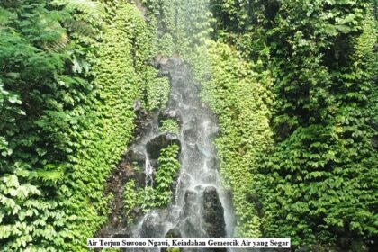 Air Terjun Suwono Ngawi, Keindahan Gemercik Air yang Segar