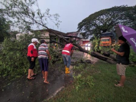 jalan provinsi di blora terhalang pohon tumbang