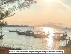 Pantai Sowan Tuban, Sejuk dengan Banyak Pohon Rindang