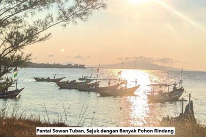 Pantai Sowan Tuban, Sejuk dengan Banyak Pohon Rindang
