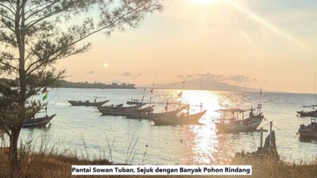 Pantai Sowan Tuban, Sejuk dengan Banyak Pohon Rindang