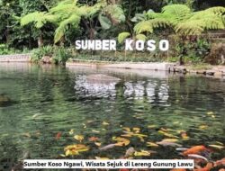 Sumber Koso Ngawi, Wisata Sejuk di Lereng Gunung Lawu