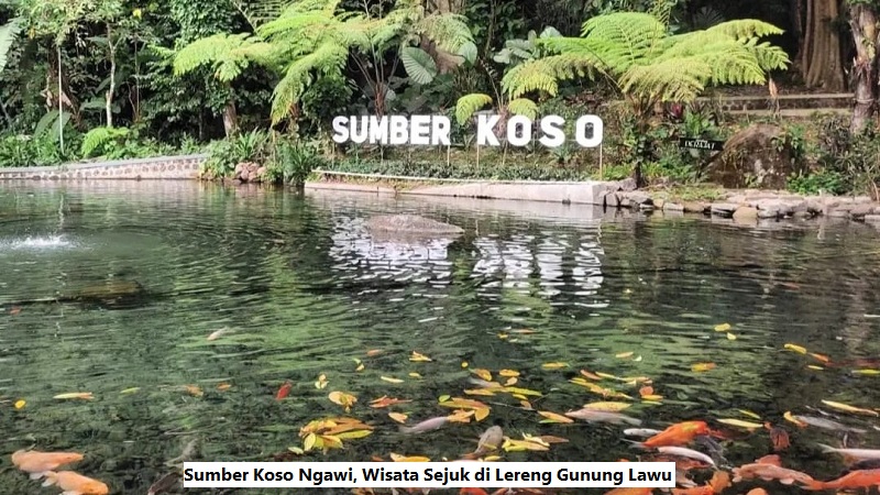 Sumber Koso Ngawi, Wisata Sejuk di Lereng Gunung Lawu