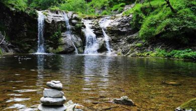 Wisata Sumber Nogo Ngawi, Tawarkan Eksotisme Alam Asri dan Mengagumkan