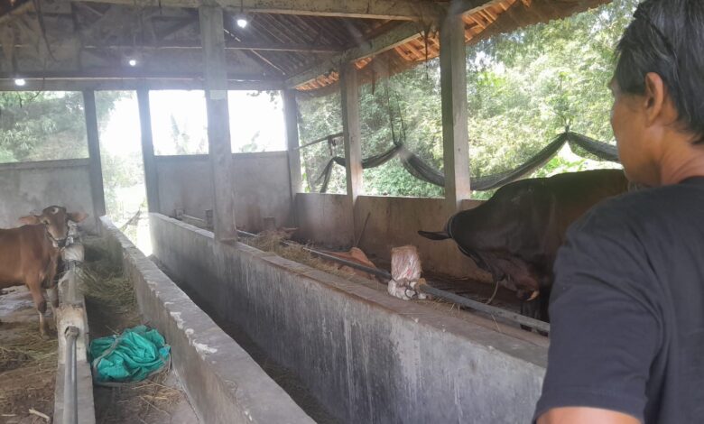 Kades Gadon Diduga Selewengkan Program Ketahanan Pangan