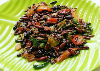 Ungker Jati Blora! Kuliner Blora Paling EXTREME yang Banyak Diburu Pecinta Kuliner di Saat Musim 4 Ungker Jati Blora Kuliner Blora Paling Extreme Yang Banyak Diburu Pecinta Kuliner Di Saat Musim