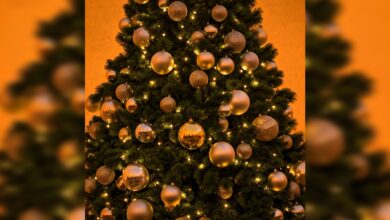 Ide-ide Kreatif dan DIY, Dekorasi Rumah untuk Natal