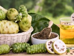 7 Khasiat Buah Mengkudu Rahasia Kesehatan dari Alam