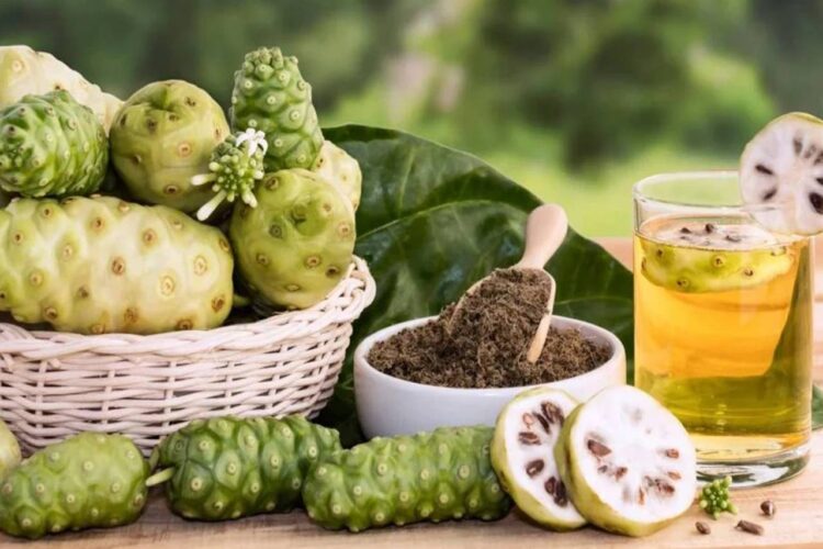 7 Khasiat Buah Mengkudu Rahasia Kesehatan dari Alam