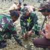 Kodim Tuban Tanam Ribuan Mangrove, Selamatkan Pantai dari Abrasi