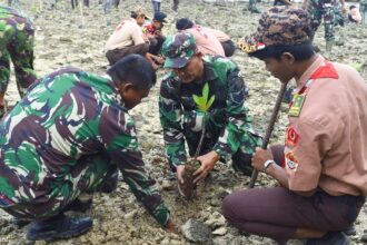 Kodim Tuban Tanam Ribuan Mangrove, Selamatkan Pantai dari Abrasi