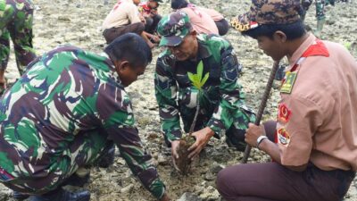 Kodim Tuban Tanam Ribuan Mangrove, Selamatkan Pantai dari Abrasi