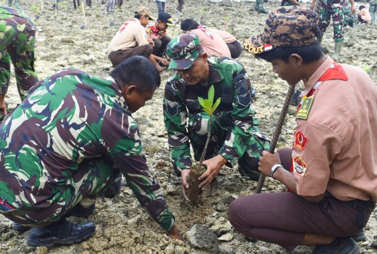 Kodim Tuban Tanam Ribuan Mangrove, Selamatkan Pantai dari Abrasi