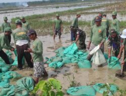 Gotong Royong Anggota TNI dan POLRI Bojonegoro Bersama Masyarakat, Perbaiki Tanggul Jebol di Kali Simo