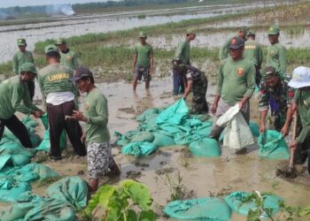 Gotong Royong Anggota TNI dan POLRI Bojonegoro Bersama Masyarakat, Perbaiki Tanggul Jebol di Kali Simo