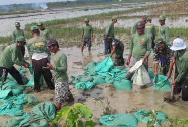 Gotong Royong Anggota TNI dan POLRI Bojonegoro Bersama Masyarakat, Perbaiki Tanggul Jebol di Kali Simo
