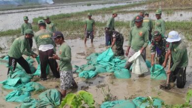 Gotong Royong Anggota TNI dan POLRI Bojonegoro Bersama Masyarakat, Perbaiki Tanggul Jebol di Kali Simo