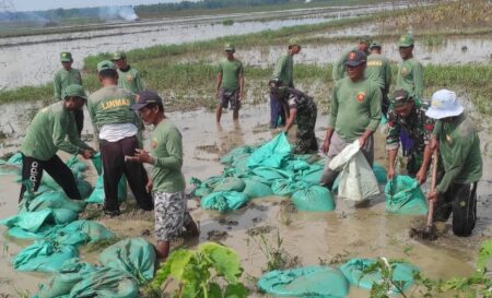 Gotong Royong Anggota TNI dan POLRI Bojonegoro Bersama Masyarakat, Perbaiki Tanggul Jebol di Kali Simo