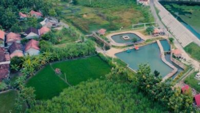 Wisata di Blora, Menikmati Pesona Desa Wisata Banyu Bening Tinapan