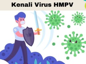 Menkes Tekankan Pentingnya Protokol Kesehatan 3M untuk Cegah Virus HMPV