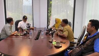 Sapi Terpapar PMK Masih Aman Dikonsumsi? Begini Penjelasannya