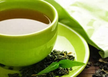 3 Cara Mengolah Daun Ciplukan Menjadi Minuman Herbal